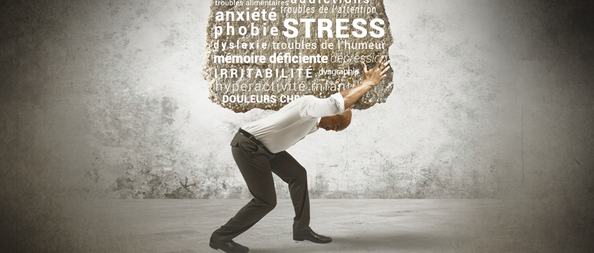 INSTITUT NEUROFEEDBACK LAURAGAIS - Les champs d'applications