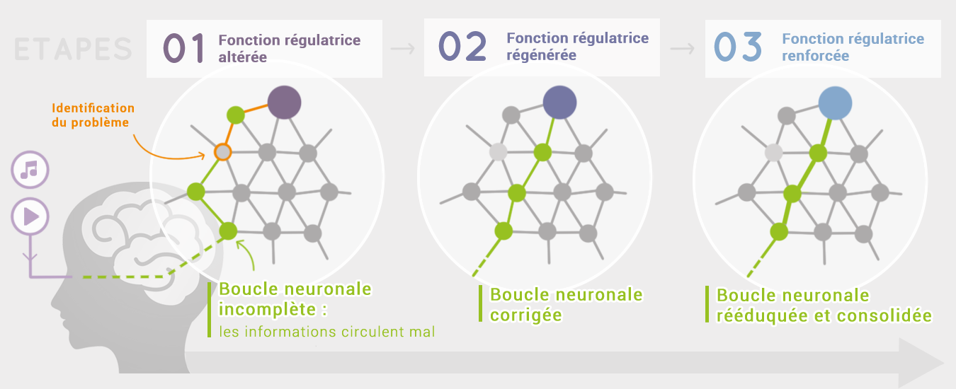 INSTITUT NEUROFEEDBACK LAURAGAIS - Principe de fonctionnement